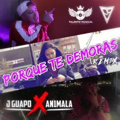 Porque Te Demoras (Remix) - Single by An1mala & J Guapo album reviews, ratings, credits