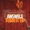 Turn It Up - Single album lyrics, reviews, download