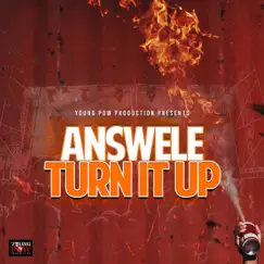 Turn It Up - Single by Answele album reviews, ratings, credits