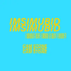 Imsimubid (feat. Ryan Debban) - Single by Cam Stone album reviews, ratings, credits