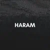 Haram (Dark Pop Type Beat) - Single album lyrics, reviews, download