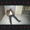 In Charge - Single album lyrics, reviews, download
