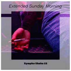 Extended Sunday Morning Sympho Shake 22 by Various Artists album reviews, ratings, credits