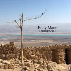 Endurance by Eddy Mann album reviews, ratings, credits