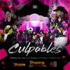 Culpables (feat. Grupo X30 & Banda La Perdida) [Cover] song lyrics