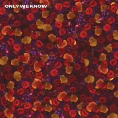 Only We Know Song Lyrics