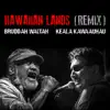 Hawaiian Lands (Remix) [feat. Keala Kawaauhau] - Single album lyrics, reviews, download