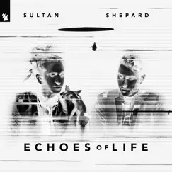 Echoes of Life: Night by Sultan + Shepard album reviews, ratings, credits