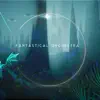 Fantastical Orchestra - EP album lyrics, reviews, download