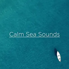 Calm Sea Sounds for Sleep by Ocean Sounds & Ocean Waves For Sleep album reviews, ratings, credits