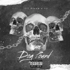 Dog Pound (feat. YS the Creator) - Single by Lil asaap album reviews, ratings, credits