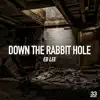 Down the Rabbit Hole - Single album lyrics, reviews, download