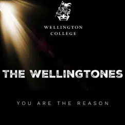 You Are the Reason - Single by The Wellingtones album reviews, ratings, credits
