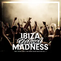 Ibiza Festival Madness, Vol. 1 by Various Artists album reviews, ratings, credits