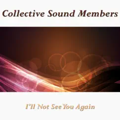 I'll Not See You Again - Single by Collective Sound Members album reviews, ratings, credits