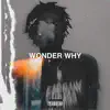 Wonder Why - Single album lyrics, reviews, download