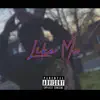 Like Me - Single album lyrics, reviews, download