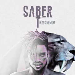In the Moment - Single by SABER T album reviews, ratings, credits