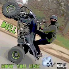 How You Live - Single by Dell album reviews, ratings, credits