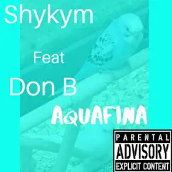 Aquafina (feat. Don B) - Single by Shykym album reviews, ratings, credits