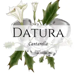 Datura Song Lyrics