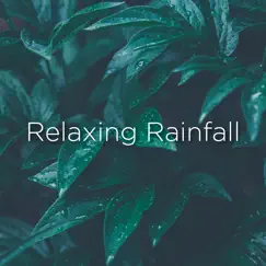 Relaxing Rainfall by Rain Sounds & Rain for Deep Sleep album reviews, ratings, credits