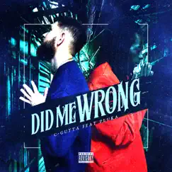 Did Me Wrong (feat. P-luka) Song Lyrics