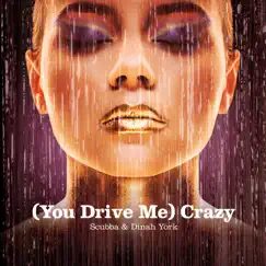 (You Drive Me) Crazy Song Lyrics