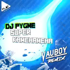 Super Kamehameha (Vau Boy Remix) Song Lyrics