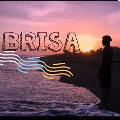 Brisa - Single by Project album reviews, ratings, credits