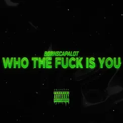 Who the F**k Is You - Single by BornsCapalot album reviews, ratings, credits