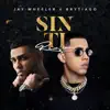 Sin Ti (Remix) song lyrics