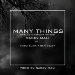 Many Things (feat. Geezy General) Song Lyrics