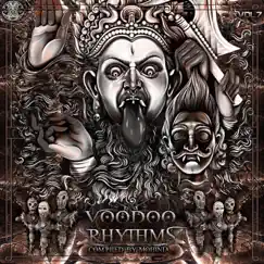 VOODOO RHYTHMS (volume 7) by Various Artists album reviews, ratings, credits