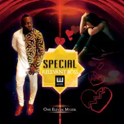 Special - Single by Relevant Boss album reviews, ratings, credits