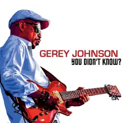 You Didn’t Know? by Gerey Johnson album reviews, ratings, credits
