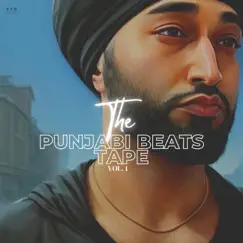 The Punjabi Beats Tape, Vol. 1 by Pree Mayall & AyoPree album reviews, ratings, credits