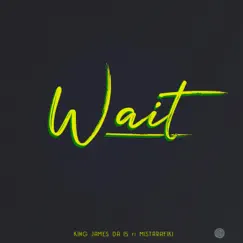 Wait (feat. Mistarafiki) - Single by King James Da 15 album reviews, ratings, credits