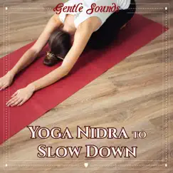Yoga Nidra to Slow Down - Gentle Sounds to Slow the Tempo and Relax for Sleeping by Various Artists album reviews, ratings, credits