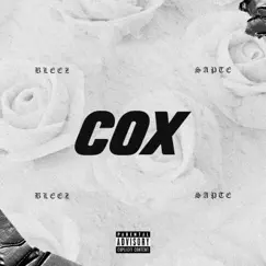 Cox (feat. Sapte) - Single by Bleez album reviews, ratings, credits