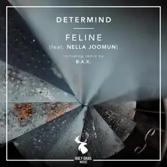 Feline (feat. Nella Joomun) - Single by Determind album reviews, ratings, credits