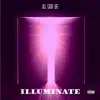 Illuminate - Single album lyrics, reviews, download