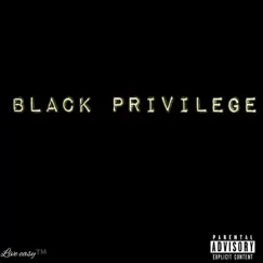 Black Privilege (feat. E. White) - Single by Fvstvction album reviews, ratings, credits