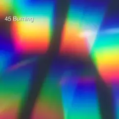 Lower - Single by 45 Burning album reviews, ratings, credits