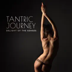 Tantric Journey - Delight of the Senses: 30 Tracks, Sensuous Atmosphere, Sacred Sexuality, Intimate Mood by Tantric Sex Background Music Experts album reviews, ratings, credits