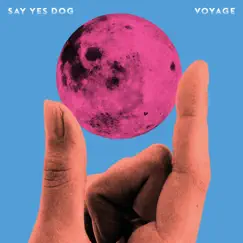 Voyage by Say Yes Dog album reviews, ratings, credits
