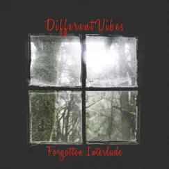 Forgotten Interlude - Single by DifferentVibes album reviews, ratings, credits