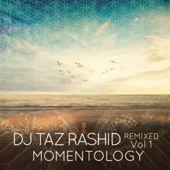 DJ Taz Rashid Remixed Vol 1: Momentology - EP by DJ Taz Rashid album reviews, ratings, credits