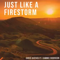 Just Like a Firestorm (feat. Cammie Robinson) - Single by Chris Kaeser album reviews, ratings, credits