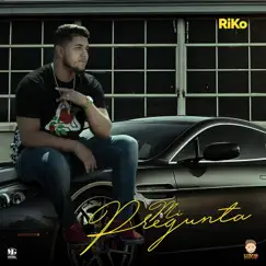 Mi Pregunta - Single by Riko album reviews, ratings, credits